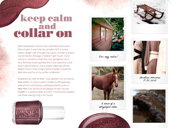 Essie's Winter Diary 6